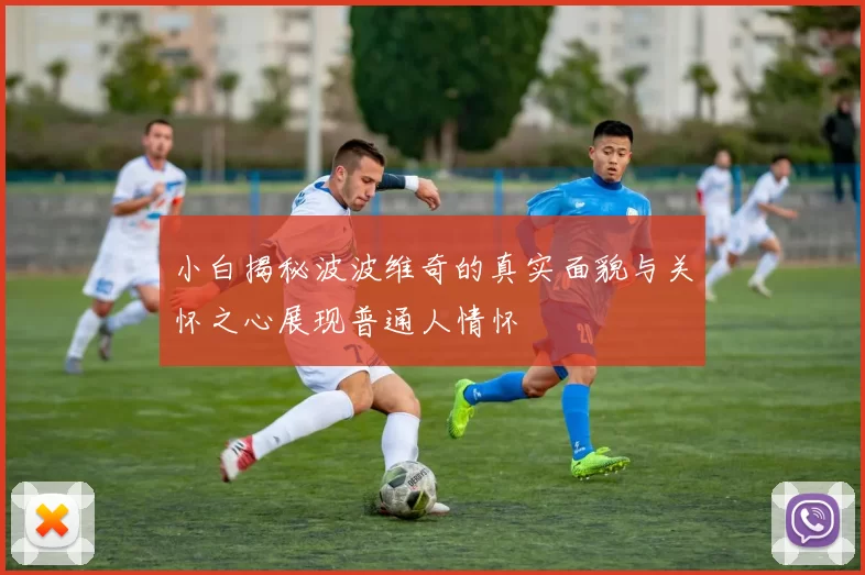 小白揭秘波波维奇的真实面貌与关怀之心展现普通人情怀